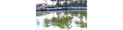 88. திருவண்பரிசாரம்
